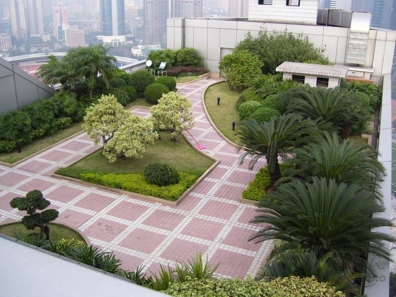 打造绿色梦想——苗木种植基地的那些事儿